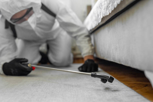 Professional Termite Control technician working in Olympia, WA