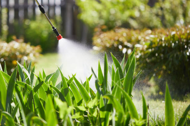 24/7 Emergency Termite Control experts in Olympia, WA