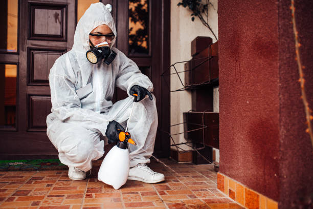 Reliable Termite Control contractor in Olympia, WA by Nex Pest Control