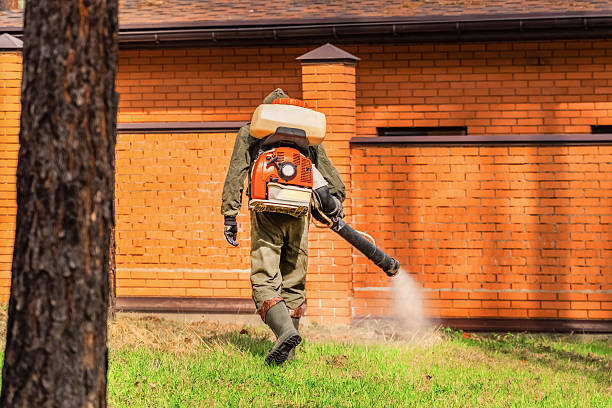 Trusted Ant Control service in Olympia, WA - Nex Pest Control